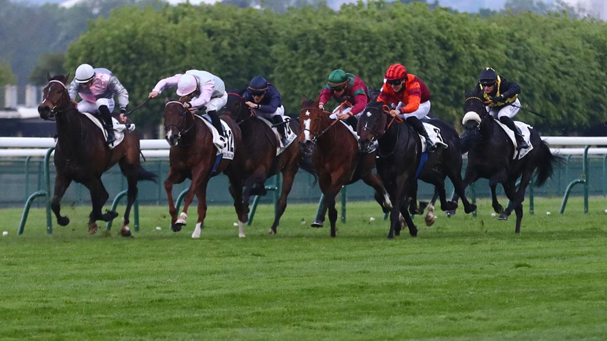 Ligue Hippique R1 06/2025