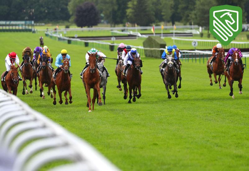 Ligue hippique octobre